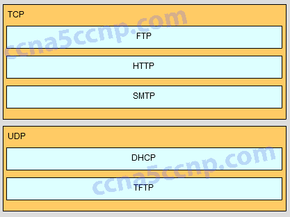 CCNA2 Pretest Exam v5.03 Answer 001