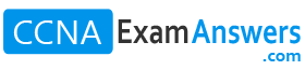 CCNAExamAnswers.Com - CCNA Exam Answers Full v7.02