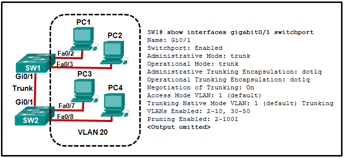 CCNA2 v7 SRWE – Modules 1 – 4 Switching Concepts, VLANs, and InterVLAN Routing Exam Answers 29